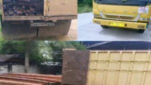 APH Jangan Tutup Mata, Kayu Ilegal Logging Milik DPO Rimba Melintang Bebas di Perjual Belikan