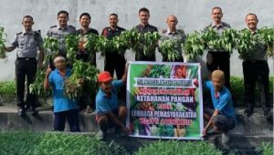Panen Kangkung dari Kebun Lapas Kelas IIA Bengkalis