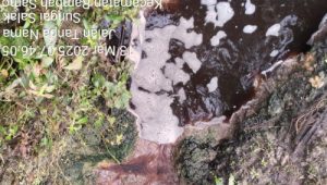 PKS PT SKA Kembali Diduga Cemari Sungai Siabu Sumbek, Warga Desak Tindakan Tegas