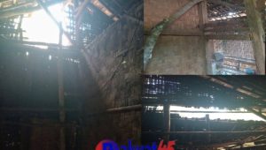 Potret Kemiskinan di Pelosok Negeri, Nusi Hidup Sebatang Kara di Rumah Reyot Belasan Tahun Terabaikan