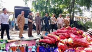 Sindikat Bawang Merah dan Ban Bekas, Polres Bersama BC Bengkalis Tangkap 5 Orang Pelaku
