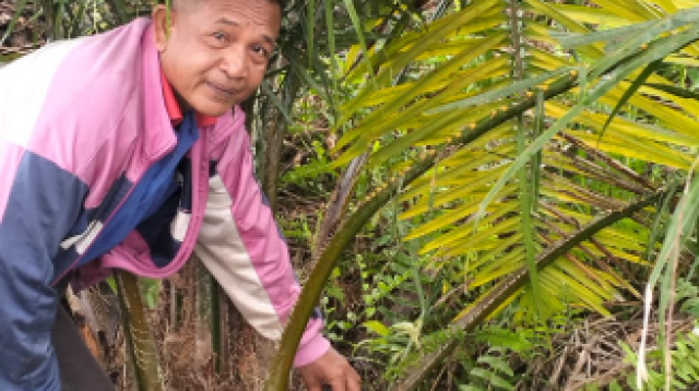 Warga Mengkapan di Siak Keluhkan Sengketa Tanah, Minta Pemdes Mediasi Penyelesaian Damai