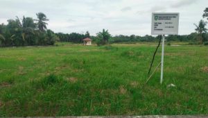 Warga Bengkalis Pertanyakan Nasib TPU Air Putih, Lahan 4,9 Hektare yang Tak Kunjung Difungsikan