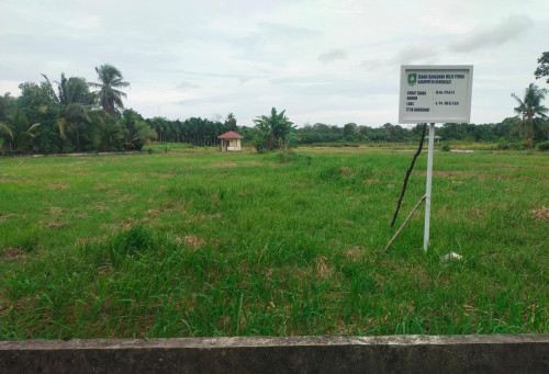 Warga Bengkalis Pertanyakan Nasib TPU Air Putih, Lahan 4,9 Hektare yang Tak Kunjung Difungsikan