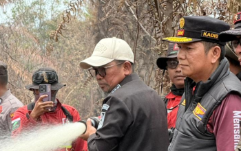 Bupati Zukri Tinjau Karhutla Pelalawan, 600 Hektare Lahan Terbakar Jadi Sorotan Serius