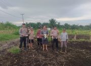 Kapolsek Rangsang Tanam Jagung Pipil di Penyagun Dukung Ketahanan Pangan