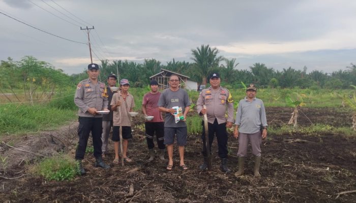 Kapolsek Rangsang Tanam Jagung Pipil di Penyagun Dukung Ketahanan Pangan