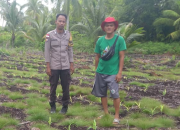 Ketahanan Pangan Terancam Kemarau, Bhabinkamtibmas Desa Sonde Turun Dampingi Petani Jagung