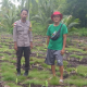 Ketahanan Pangan Terancam Kemarau, Bhabinkamtibmas Desa Sonde Turun Dampingi Petani Jagung