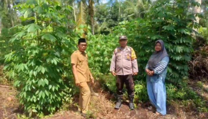Dorong Swasembada Pangan, Bhabinkamtibmas Tinjau Lahan Produktif BUMDes Kembung Baru