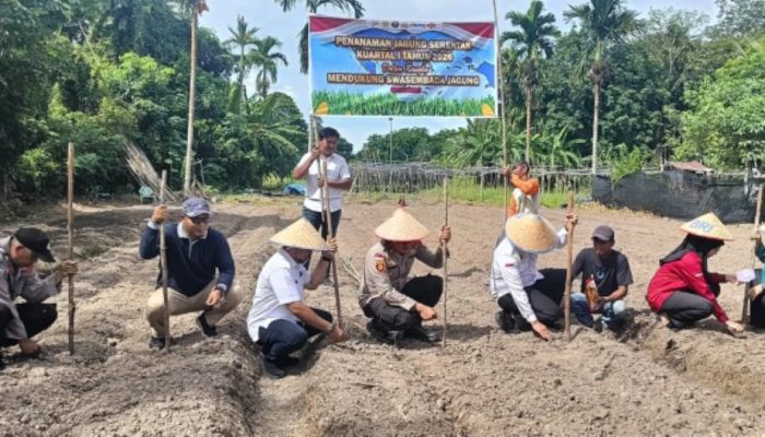Sinergi Polri dan Masyarakat, Polres Bengkalis Tanam Jagung Pipil di Kuala Alam