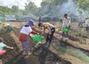 Bhabinkamtibmas Turun ke Ladang, Gandeng PKK Wujudkan Ketahanan Pangan di Desa Sokop