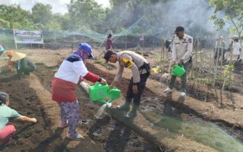 Bhabinkamtibmas Turun ke Ladang, Gandeng PKK Wujudkan Ketahanan Pangan di Desa Sokop