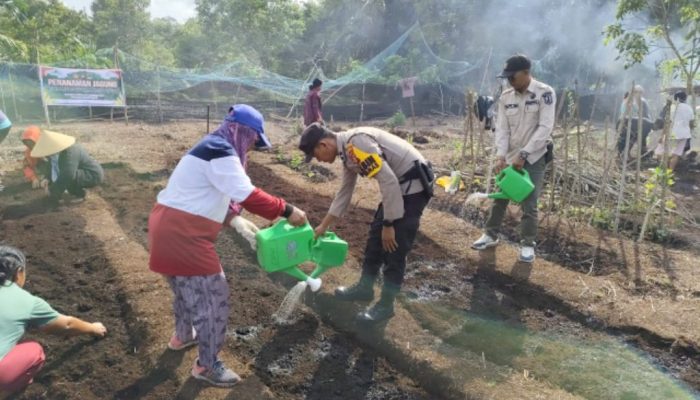 Bhabinkamtibmas Turun ke Ladang, Gandeng PKK Wujudkan Ketahanan Pangan di Desa Sokop